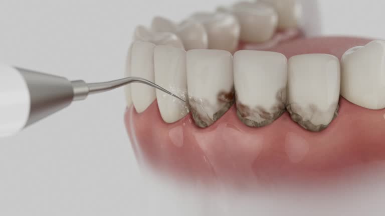 Reliable Dental contractor in St. Francis, KS by Dentist Open Now